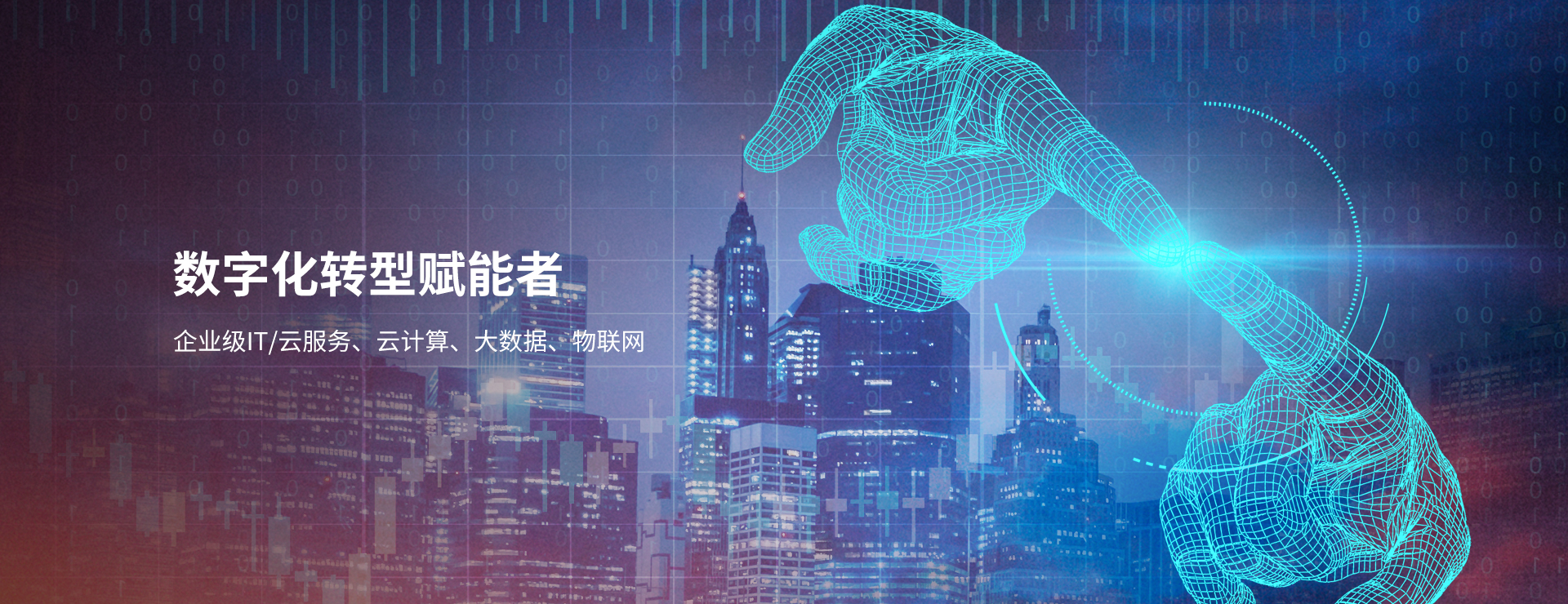应用系统